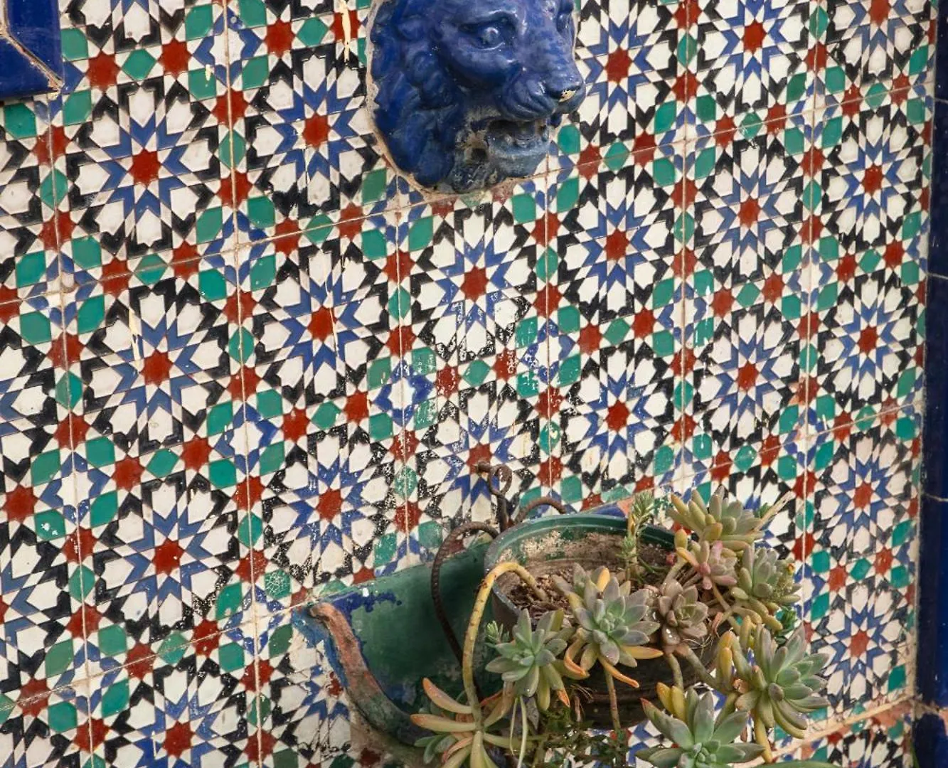 Hostel Pituco - En El Corazon De La Ciudad Mendoza