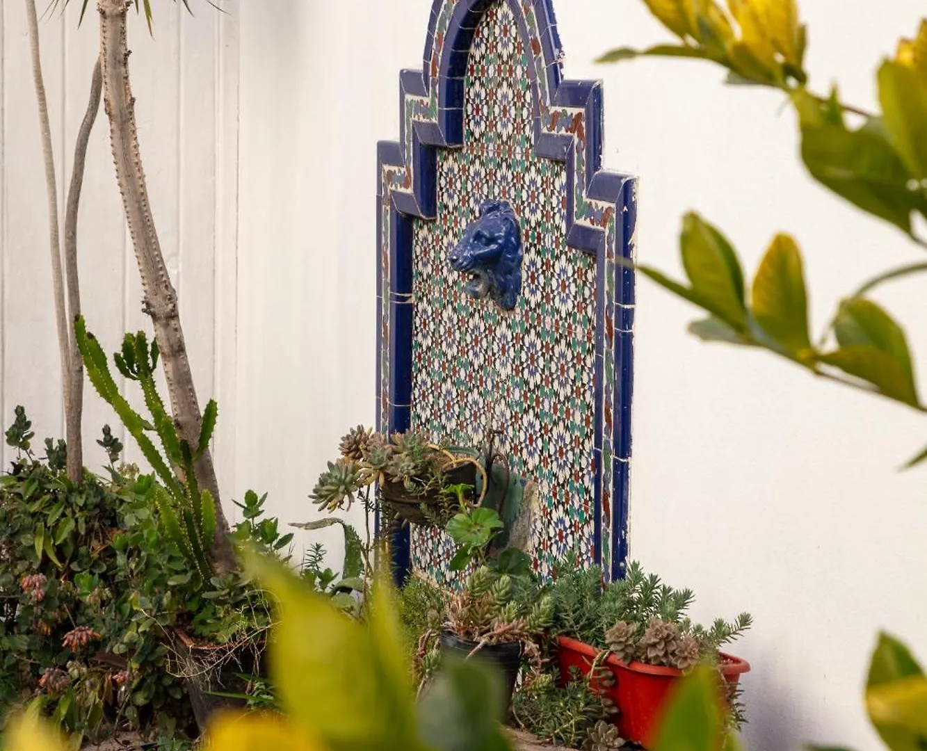 Hostel Pituco - En El Corazon De La Ciudad Mendoza